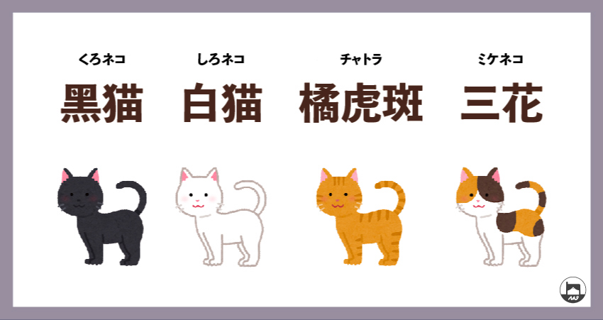 【nao寵物出國】寵物輸出資料填寫注意事項：貓咪花色篇